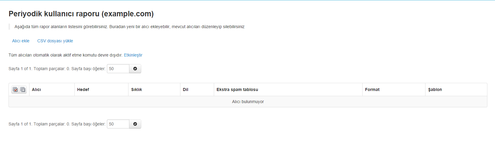 periyodikkullanicirapor